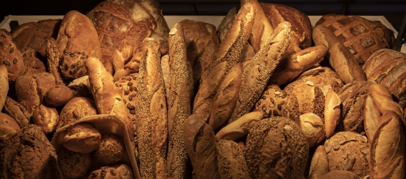 BROTMARKT, le marché du Pain